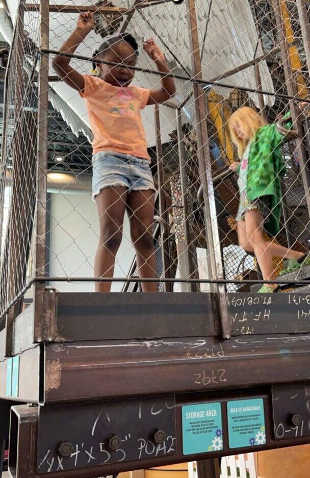 Two girls standing on a metal fence